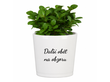 Dasi obet na obzoru