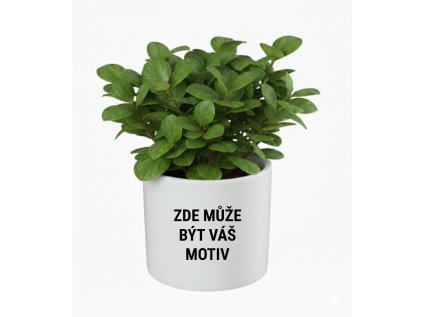 Zde muze byt vas motiv