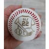 Baseballový míč Rawlings ROLB1 s vlastním jménem a číslem