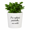 Pro nejelspi pestitelku