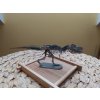 3D stavebnice T-Rex a Triceratops