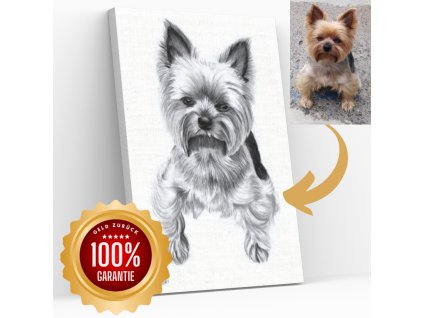 Stil Haustier in Bleistift - handgemaltes Portrait Ihres Haustieres nach Foto