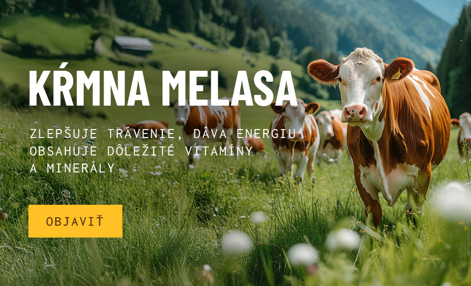 Slovenská krmná melasa