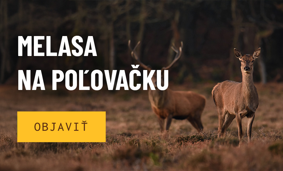Melasana poľovačku