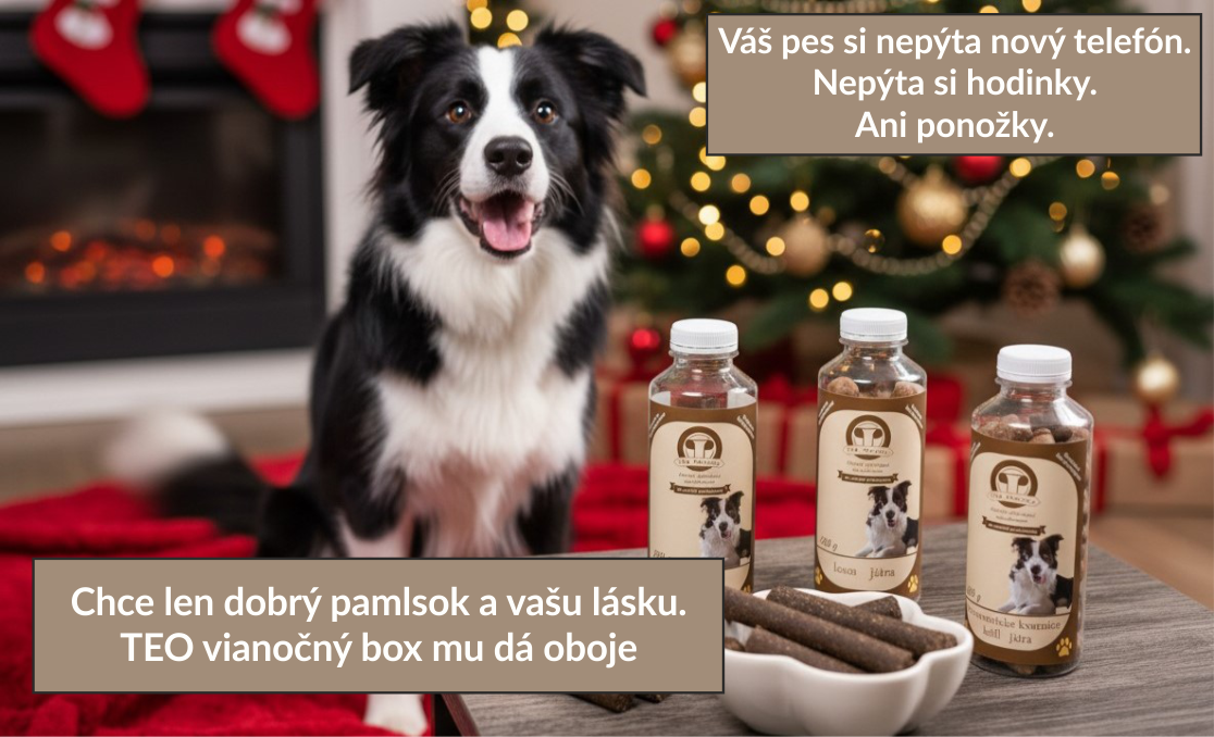 Vianočný balíček TEO Pamlsky