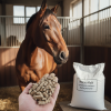 horse malt 1