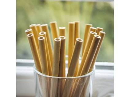 Bambusová brčka 240mm sada 10 ks + 1 kartáček