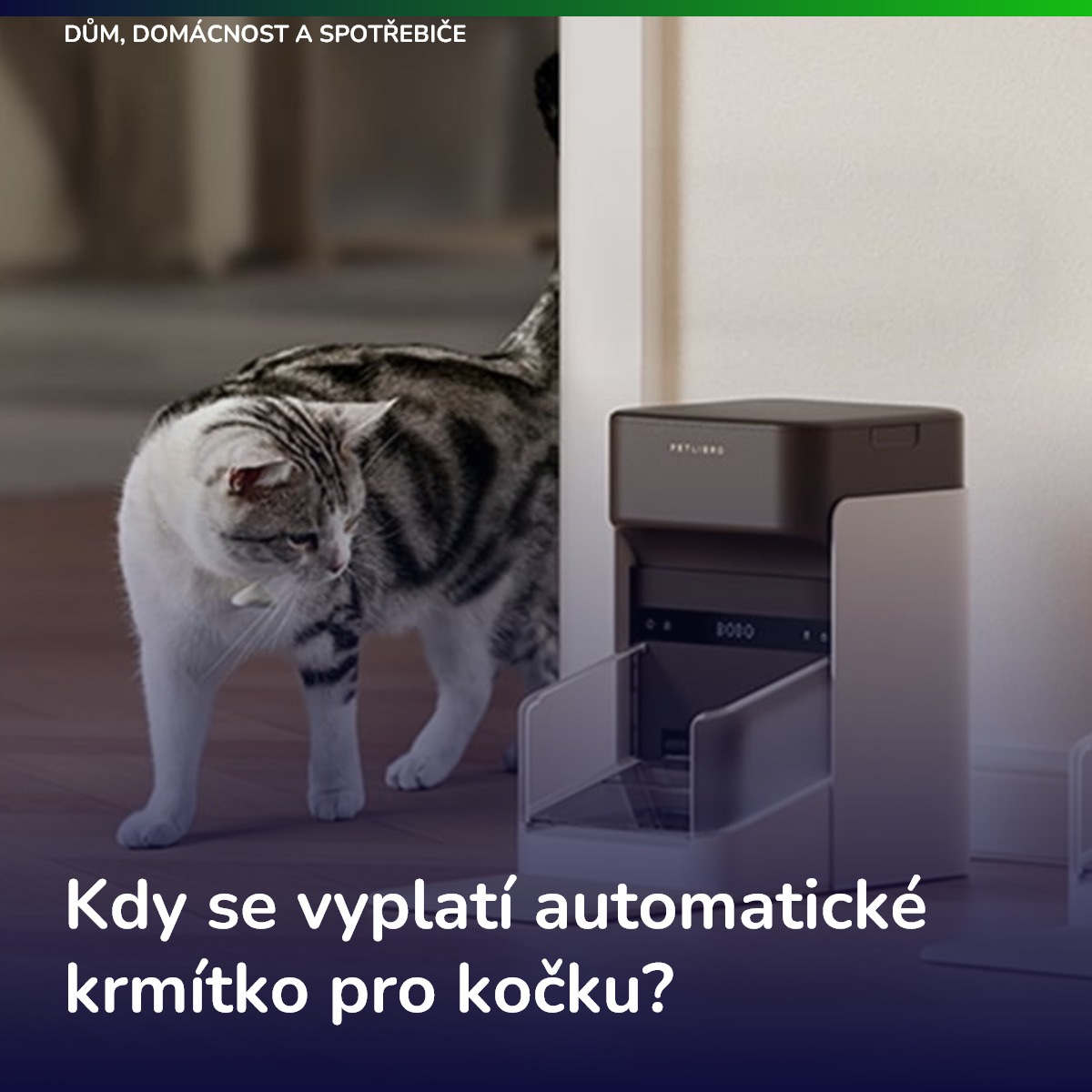 Kdy se vyplatí automatické krmítko pro kočku?