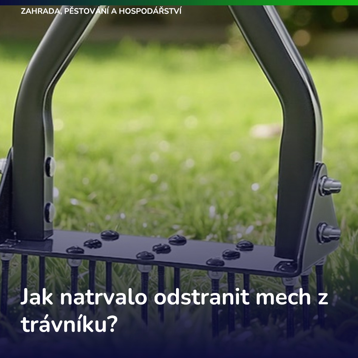 Jak natrvalo odstranit mech z trávníku?