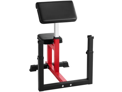 Posilňovacia lavica s oporou nôh a bicepsovou opierkou, 440 LBS
