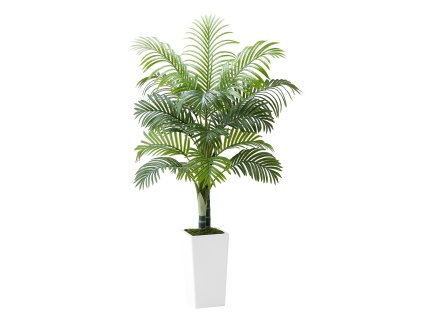 Umelá palma areca 1524 mm, vysoký biely kvetináč, interiér/exteriér