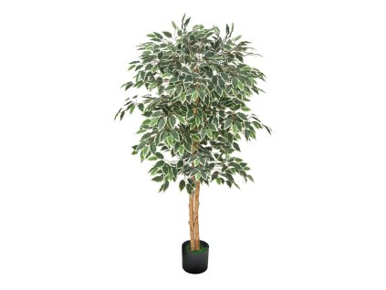 Umelý fikus 150cm, čierny kvetináč, prírodný kmeň, realistické listy