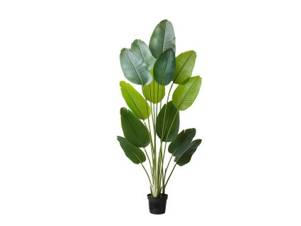 Umelý strom rajská vtáčica 1829 mm, 13 kmeňov, biely kvetináč