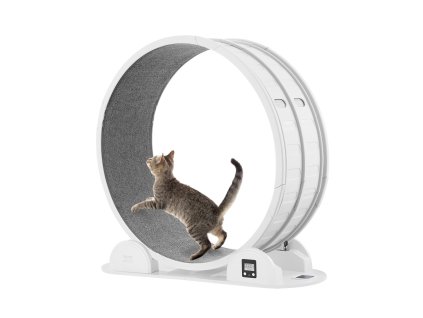 Behacie koleso pre mačky 40.8 in, tiché, s brzdou a kobercom do 30lbs