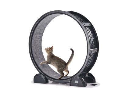 Bežecké koleso pre mačky 40.8 in s krokomerom a brzdou do 30lbs