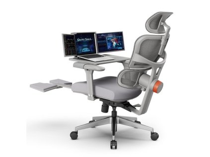 NEWTRAL NT002 Ergonomic Chair with Detachable Workstation Desktop, Adaptive Lower Back Support, Adjustable Armrest Headrest Footrest, Gray