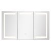 Zrkadlová skrinka do kúpeľne 100×60 cm, 3-farebné stmievateľné led