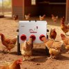 Automatický kŕmič pre kurčatá 13.61 kg, 6 otvorov, uzamykateľný kryt