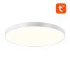 215816 3 smart ceiling lamp 30cm bluetooth 16m rgbcw gosund lb13 1600lm tuya remote control