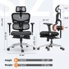 NEWTRAL NT002 Ergonomic Chair Adaptive Lower Back Support with Footrest 4 Recline Angle Adjustable Backrest Armrest Headrest 5 Positions to Lock Aluminum Alloy Base - Pro Version