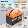 Cloudenergy 12V 100Ah LiFePO4 Battery Pack, 1280Wh Energy, 6000+ Cycles, Built-in 100A BMS, Support Series/Parallel, for Backup Power, RV, Boats, Solar, Trolling Motor, Off-Grid