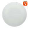 152924 11 smart ceiling lamp 32cm wifi bluetooth 16m rgbcw gosund lb11 1920lm tuya remote control