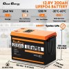 Cloudenergy 12V 200Ah LiFePO4 Battery Pack Backup Power, 2560Wh Energy, 6000+ Cycles, Built-in 100A BMS, LCD Display, Support in Series/Parallel, Perfect for Replacing Most Backup Power RV Boats Solar Trolling Motor, Off-Grid