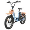 Hidoes C6 Electric Bike, 250W Motor, 36V 13Ah Battery, 20*3 inch Tires, 25km/h Max Speed, 35km Range, Front & Rear Mechanical Disc Brakes, Shimano 7-speed, LCD Display
