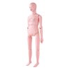 Model pacientky na ošetrovateľské školenie, životná veľkosť, pvc