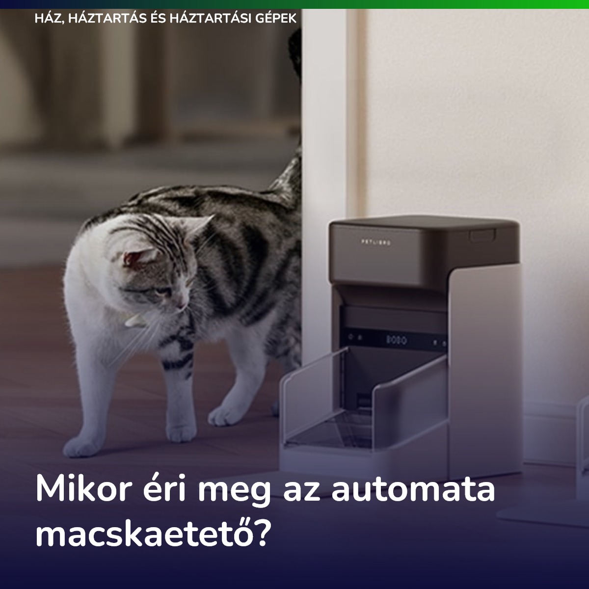 Mikor éri meg az automata macskaetető?