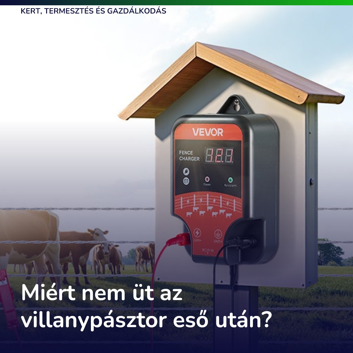 Miért nem üt az villanypásztor eső után?