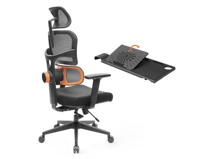 NEWTRAL NT001 Ergonomic Chair with Detachable Workstation Desktop, Adaptive Lower Back Support, 3 Recline Angle Adjustable Backrest Armrest Headrest, 5 Positions to Lock Nylon Base - Standard Version