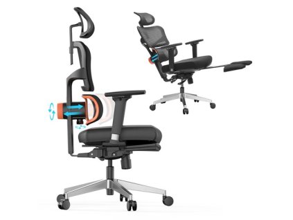 NEWTRAL NT002 Ergonomic Chair Adaptive Lower Back Support with Footrest 4 Recline Angle Adjustable Backrest Armrest Headrest 5 Positions to Lock Aluminum Alloy Base - Pro Version