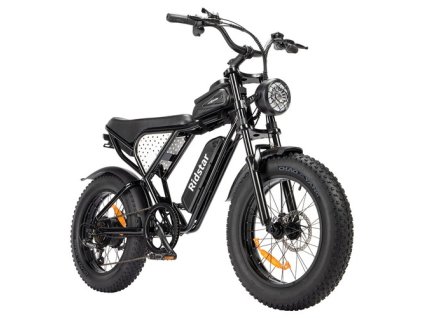 Ridstar Q20 Mini Electric Bike, 1000W Motor, 48V 15AH Battery, 20*4.0 inch Fat Tires, 40km/h Max Speed, 80km Range, Front Suspension Fork, Mechanical Disc Brakes