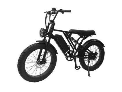 YANGOR Y-24 Electric Bike, 250W Motor, 48V 20AH Battery, 24*4.0-inch Tire, 42km/h Max Speed, 120km Max Range, Mechanical Disc Brake, Front & Read Suspensions, Shimano ALTUS 8-speed, LCD Display