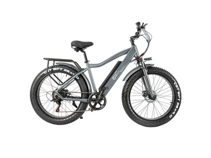 CMACEWHEEL J26 Electric Bike, 26*4.0'' CST Tire, 750W Motor, 45km/h Max Speed, 110km Max Range, 17Ah Battery, Disc Brake, 150kg Max Load - Silver Grey