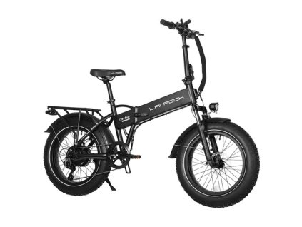 LAIFOOK Cityfun Electric Bike, 250W Brushless Motor, 48V 10.4AH Battery, 20 x 4.0 Inch Fat Tires, 25km/h Max Speed, 70km Range, Hydraulic Front Suspension, Mechanical Disc Brake, Shimano 7 Speed, LCD Display - Black