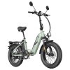 Fafrees FF20 Polar Electric Bike, 500W Motor, 48V 26.8Ah Dual Batteries, 20*4.0 inch Tires, 45km/h Max Speed, 170km Max Range, Mechanical Disc Brakes, Front Spring Fork, Shimano 7-speed - Mint Green