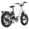 EKXBIKE L1 Electric Bike, 1000W Motor, 48V 15.6Ah Battery, 20*4 inch Fat Tire, 55km/h Max Speed, 80km Range, Disc Brake, Front & Rear Suspension, Shimano 7-speed, LCD Display