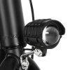 DYU C4 Folding Electric Scooter, 250W Motor, 36V 10AH Battery, 14 Inch Tires, 25km/h Max Speed, 42km Range, Front & Rear Disc Brakes