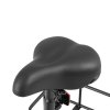 DYU C4 Folding Electric Scooter, 250W Motor, 36V 10AH Battery, 14 Inch Tires, 25km/h Max Speed, 42km Range, Front & Rear Disc Brakes