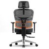 NEWTRAL NT002 Ergonomic Chair with Detachable Workstation Desktop, Adaptive Lower Back Support with Footrest, 4 Recline Angle, Adjustable Backrest Armrest Headrest, 5 Positions to Lock, Aluminum Alloy Base - Pro Version