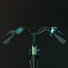 ESKUTE C100 Electric Bike, 250W Motor, 36V 10.4Ah Battery, 26*1.75" Tires, 25km/h Max Speed, 50-60km Range, Mechanical Disc Brakes, SHIMANO 7 Speed - Green