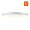 215816 2 smart ceiling lamp 30cm bluetooth 16m rgbcw gosund lb13 1600lm tuya remote control