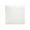 plexi opal