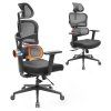 NEWTRAL NT001 Ergonomic Chair Adaptive Lower Back Support 3 Recline Angle Adjustable Backrest Armrest Headrest 5 Positions to Lock Nylon Base - Standard Version
