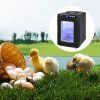 Inkubátor pre plazy 25L digitálny 5–42°C chladenie/vyhrievanie