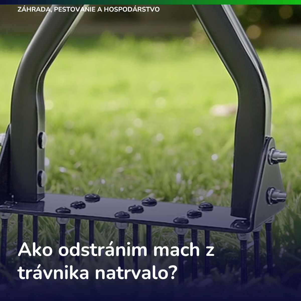 Ako odstránim mach z trávnika natrvalo?