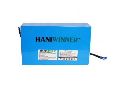 HANIWINNER HA201 Electric Bike Rechargeable Lithium Battery 48V 20AH 960W with Charger - Blue