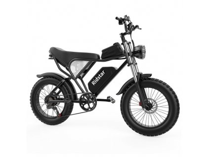 Ridstar Q20 Electric Bike, 1000W Brushless Motor 20*4.0 inch Fat Tires 48V 20Ah Removable Battery 48km/h Max Speed 150kg Max Load 120km Max Range Hydraulic Disc Brake